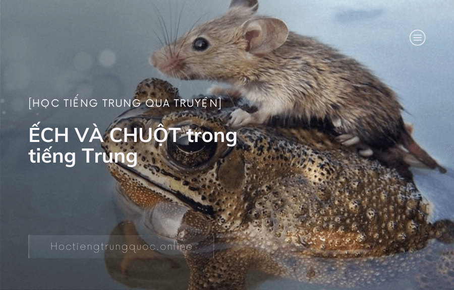 Chủ đề câu chuyện ẾCH VÀ CHUỘT trong tiếng Trung