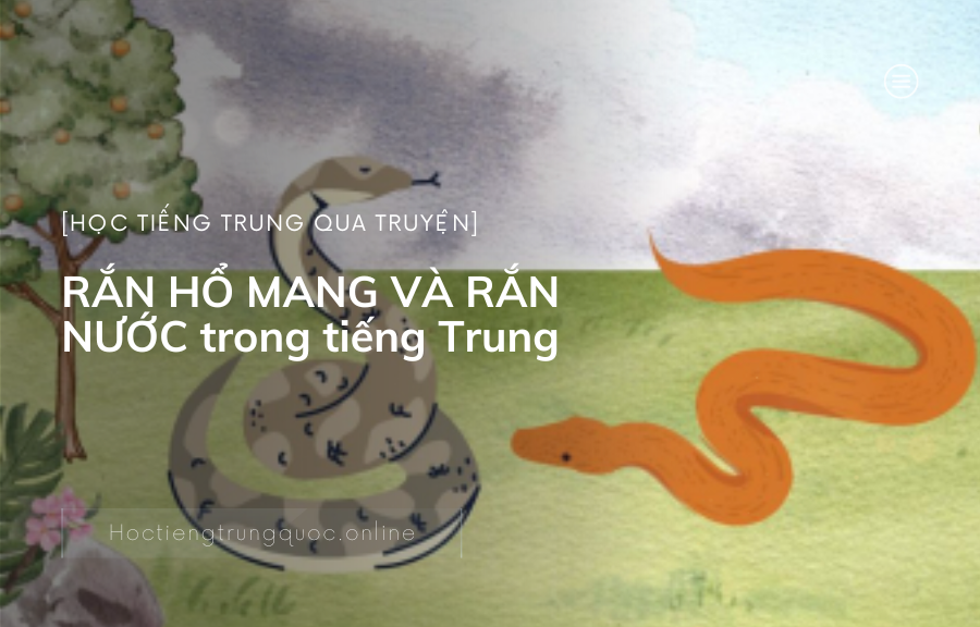 Chủ đề truyện RẮN HỔ MANG VÀ RẮN NƯỚC trong tiếng Trung