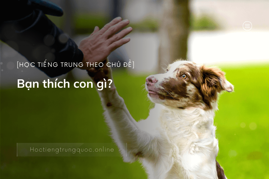 Học tiếng Trung theo chủ đề - Bạn thích con gì?