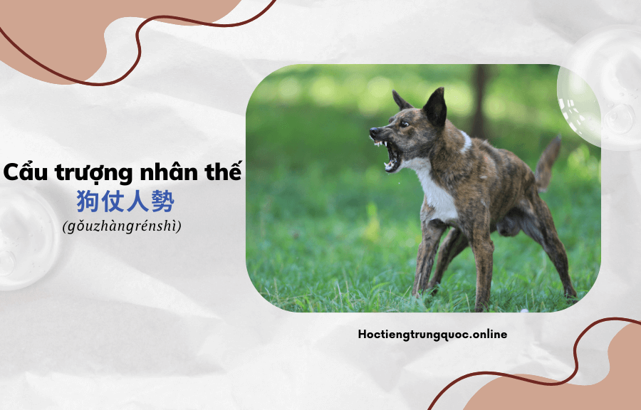 Thành ngữ Trung Quốc Cẩu trượng nhân thế