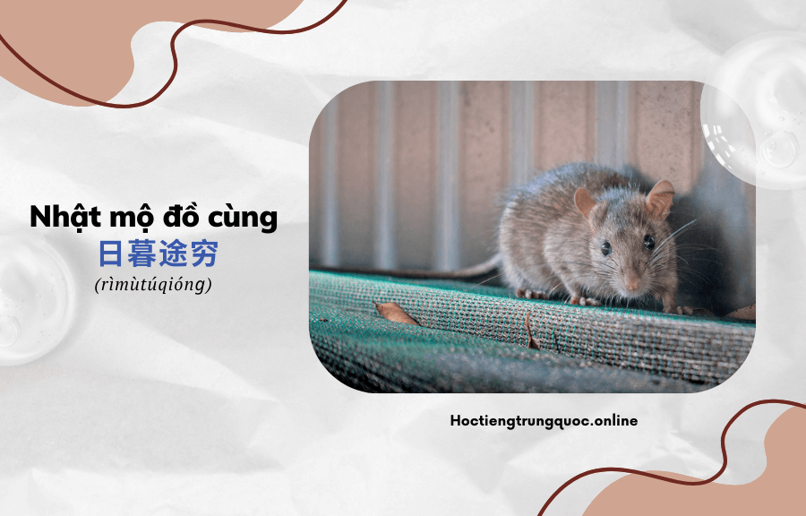 Thành ngữ Trung Quốc Nhật mộ đồ cùng