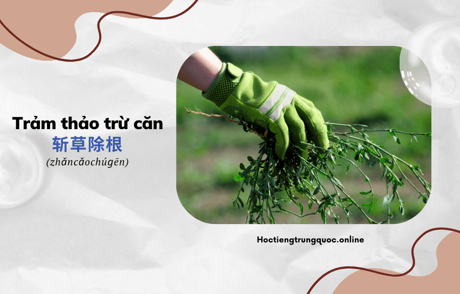 Thành ngữ Trung Quốc Trảm thảo trừ căn