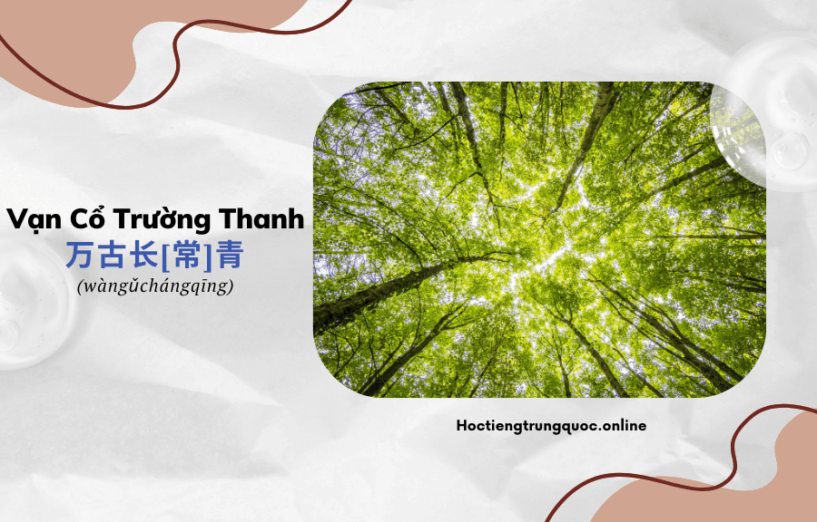 Thành ngữ Trung Quốc Vạn Cổ Trường Thanh