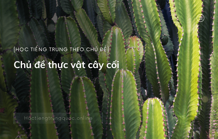 Chủ đề thực vật cây cối trong tiếng Trung