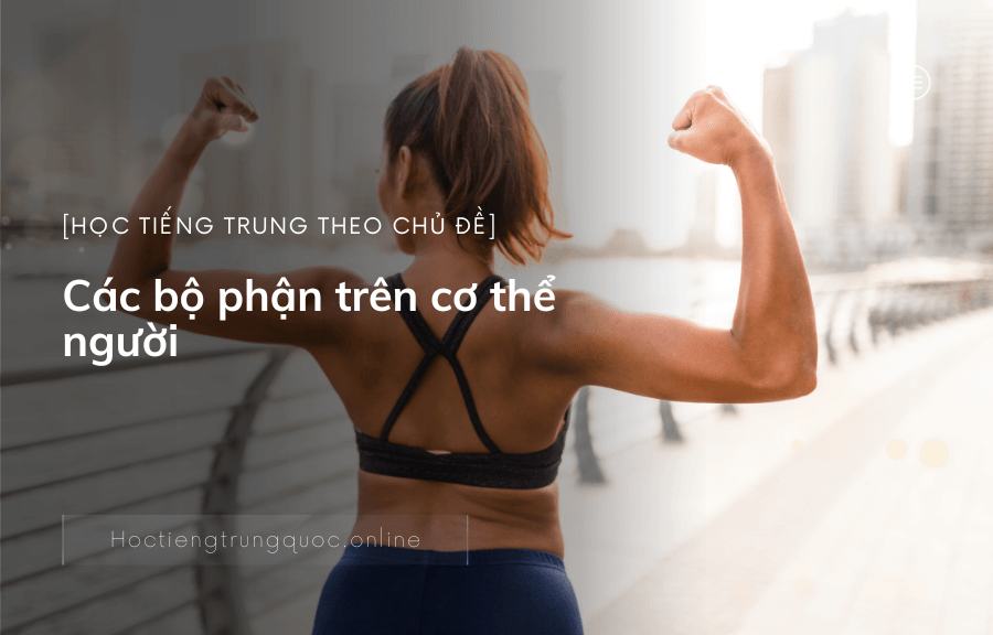Học tiếng Trung theo chủ đề – Các bộ phận trên cơ thể người