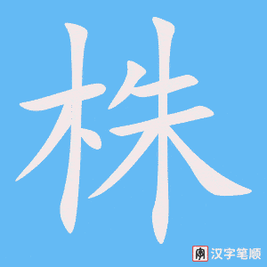 4907 - 株 - HSK6 - Từ điển tam ngữ 5099 từ vựng HSK 1-6 4907 - 株 - HSK6 - Từ điển tam ngữ 5099 từ vựng HSK 1-6