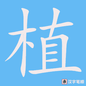 1167 – 植物 – HSK4 – Từ điển tam ngữ 5099 từ vựng HSK 1-6 1167 – 植物 – HSK4 – Từ điển tam ngữ 5099 từ vựng HSK 1-6