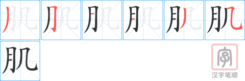 1639 – 肌肉 – HSK5 – Từ điển tam ngữ 5099 từ vựng HSK 1-6