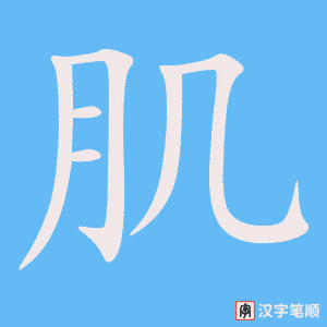 1639 – 肌肉 – HSK5 – Từ điển tam ngữ 5099 từ vựng HSK 1-6 1639 – 肌肉 – HSK5 – Từ điển tam ngữ 5099 từ vựng HSK 1-6