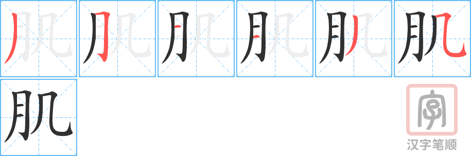 1639 – 肌肉 – HSK5 – Từ điển tam ngữ 5099 từ vựng HSK 1-6 1639 – 肌肉 – HSK5 – Từ điển tam ngữ 5099 từ vựng HSK 1-6