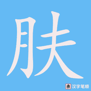 0926 - 皮肤 - HSK4 - Từ điển tam ngữ 5099 từ vựng HSK 1-6 0926 - 皮肤 - HSK4 - Từ điển tam ngữ 5099 từ vựng HSK 1-6