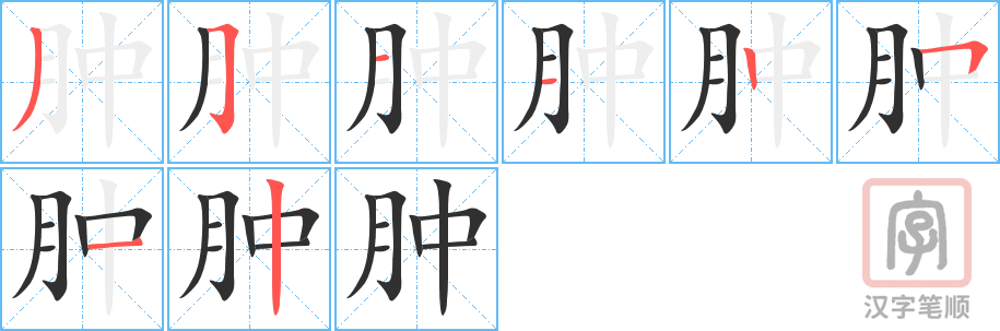 4892 - 肿瘤 - HSK6 - Từ điển tam ngữ 5099 từ vựng HSK 1-6 4892 - 肿瘤 - HSK6 - Từ điển tam ngữ 5099 từ vựng HSK 1-6