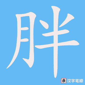 0477 - 胖 - HSK3 - Từ điển tam ngữ 5099 từ vựng HSK 1-6 0477 - 胖 - HSK3 - Từ điển tam ngữ 5099 từ vựng HSK 1-6