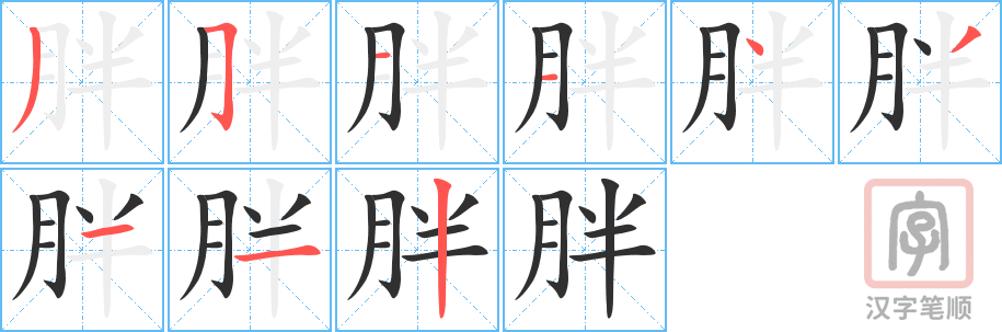 0477 - 胖 - HSK3 - Từ điển tam ngữ 5099 từ vựng HSK 1-6 0477 - 胖 - HSK3 - Từ điển tam ngữ 5099 từ vựng HSK 1-6