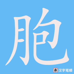 4439 - 细胞 - HSK6 - Từ điển tam ngữ 5099 từ vựng HSK 1-6 4439 - 细胞 - HSK6 - Từ điển tam ngữ 5099 từ vựng HSK 1-6