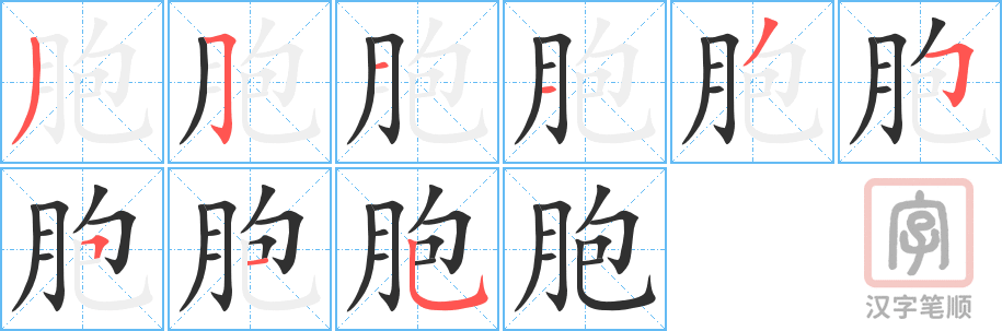 4439 - 细胞 - HSK6 - Từ điển tam ngữ 5099 từ vựng HSK 1-6 4439 - 细胞 - HSK6 - Từ điển tam ngữ 5099 từ vựng HSK 1-6