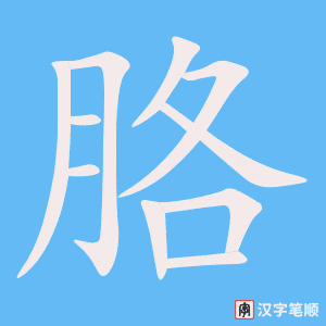 0739 - 胳膊 - HSK4 - Từ điển tam ngữ 5099 từ vựng HSK 1-6 0739 - 胳膊 - HSK4 - Từ điển tam ngữ 5099 từ vựng HSK 1-6