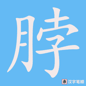 1259 - 脖子 - HSK5 - Từ điển tam ngữ 5099 từ vựng HSK 1-6 1259 - 脖子 - HSK5 - Từ điển tam ngữ 5099 từ vựng HSK 1-6