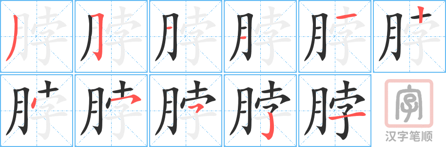 1259 - 脖子 - HSK5 - Từ điển tam ngữ 5099 từ vựng HSK 1-6 1259 - 脖子 - HSK5 - Từ điển tam ngữ 5099 từ vựng HSK 1-6