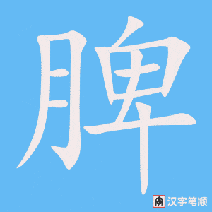 0927 - 脾气 - HSK4 - Từ điển tam ngữ 5099 từ vựng HSK 1-6 0927 - 脾气 - HSK4 - Từ điển tam ngữ 5099 từ vựng HSK 1-6