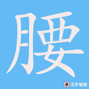 2297 – 腰 – HSK5 – Từ điển tam ngữ 5099 từ vựng HSK 1-6