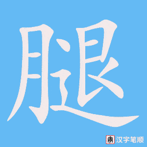0524 - 腿 - HSK3 - Từ điển tam ngữ 5099 từ vựng HSK 1-6 0524 - 腿 - HSK3 - Từ điển tam ngữ 5099 từ vựng HSK 1-6