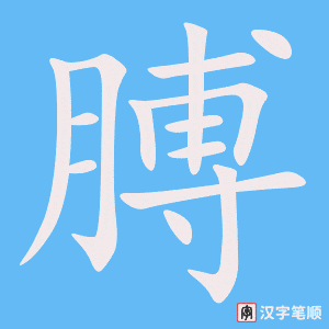 0739 - 胳膊 - HSK4 - Từ điển tam ngữ 5099 từ vựng HSK 1-6 0739 - 胳膊 - HSK4 - Từ điển tam ngữ 5099 từ vựng HSK 1-6