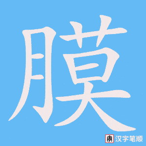 3778 - 膜 - HSK6 - Từ điển tam ngữ 5099 từ vựng HSK 1-6 3778 - 膜 - HSK6 - Từ điển tam ngữ 5099 từ vựng HSK 1-6