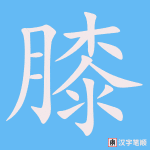 4431 - 膝盖 - HSK6 - Từ điển tam ngữ 5099 từ vựng HSK 1-6 4431 - 膝盖 - HSK6 - Từ điển tam ngữ 5099 từ vựng HSK 1-6