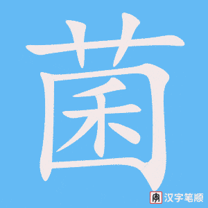 4438 - 细菌 - HSK6 - Từ điển tam ngữ 5099 từ vựng HSK 1-6 4438 - 细菌 - HSK6 - Từ điển tam ngữ 5099 từ vựng HSK 1-6