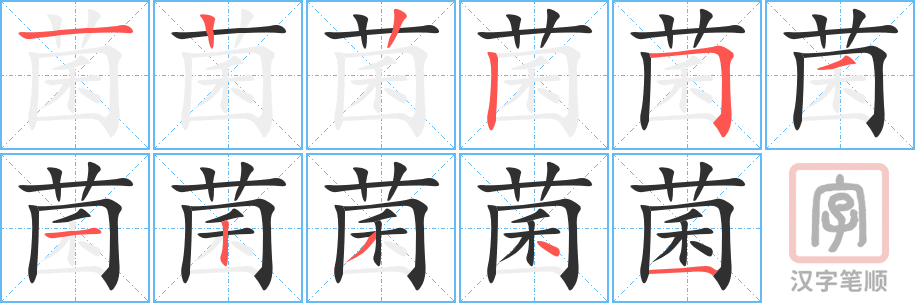 4438 - 细菌 - HSK6 - Từ điển tam ngữ 5099 từ vựng HSK 1-6 4438 - 细菌 - HSK6 - Từ điển tam ngữ 5099 từ vựng HSK 1-6