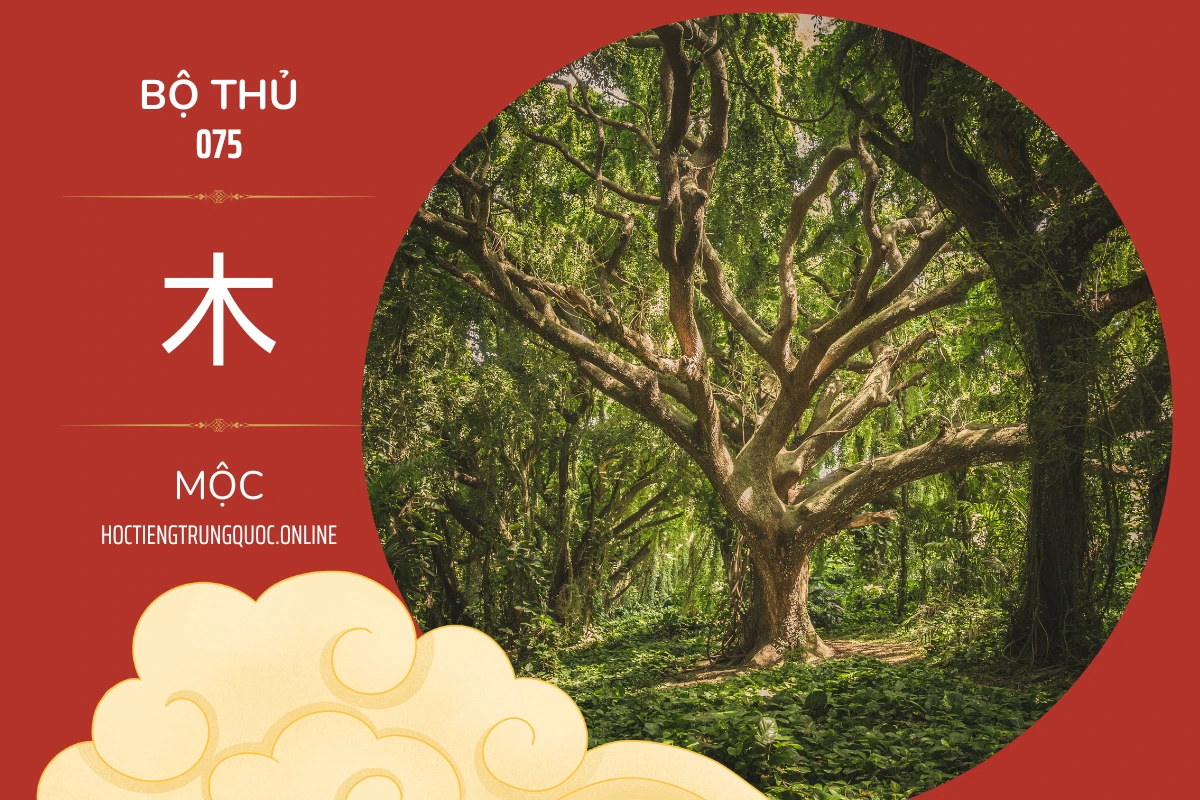 214 bộ thủ Bộ thủ 075 木 MỘC