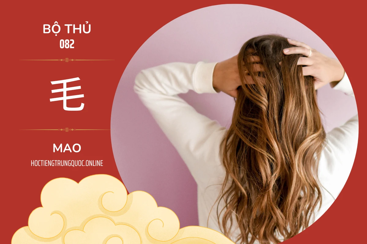 214 bộ thủ Bộ thủ 082 毛 MAO