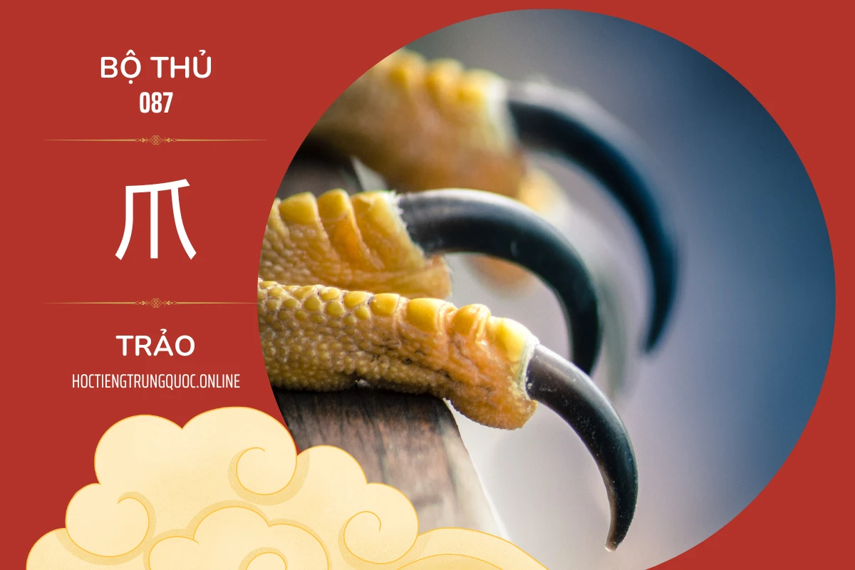 214 bộ thủ Bộ thủ 087 爪 TRẢO