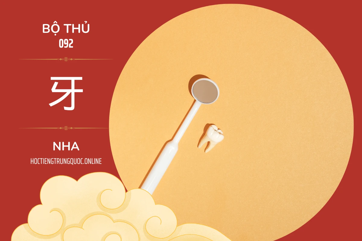 214 bộ thủ Bộ thủ 092 牙 NHA