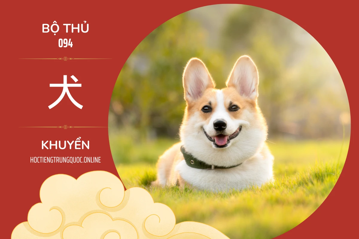 214 bộ thủ Bộ thủ 094 犬 KHUYỂN