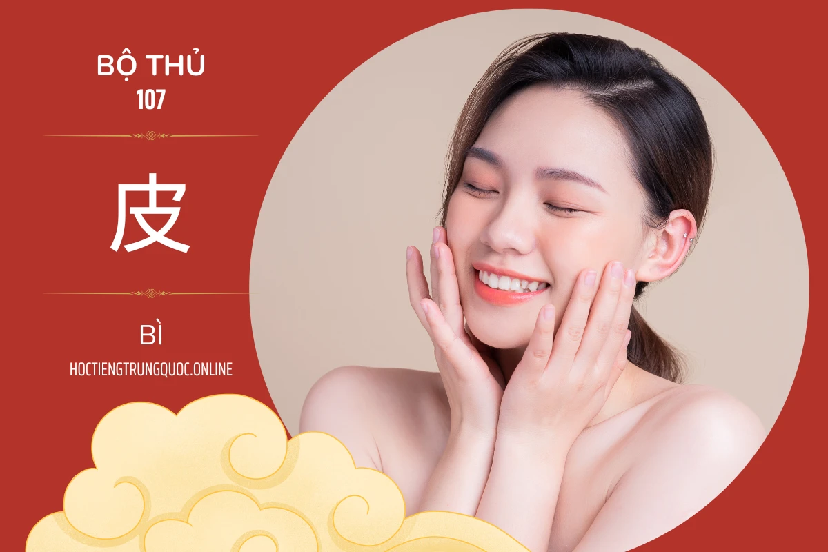 214 bộ thủ Bộ thủ 107 皮 BÌ