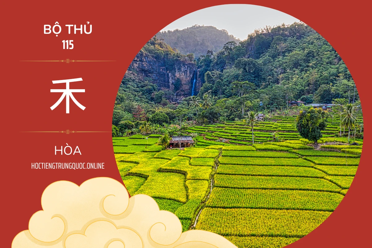 214 bộ thủ Bộ thủ 115 禾 HÒA