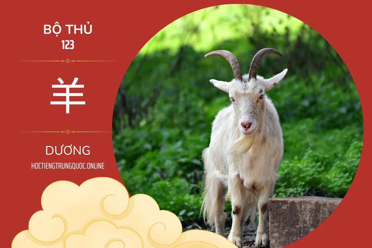 214 bộ thủ Bộ thủ 123 羊 DƯƠNG