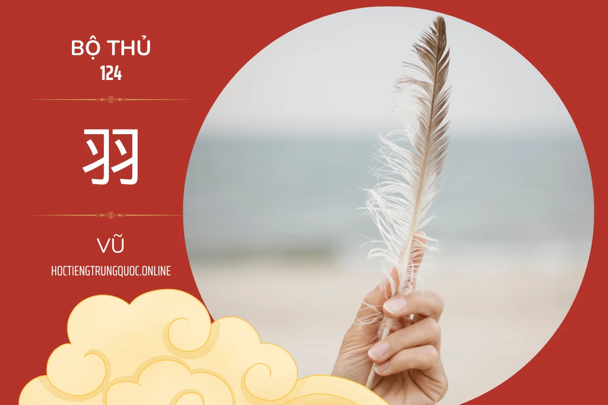 214 bộ thủ Bộ thủ 124 羽 VŨ
