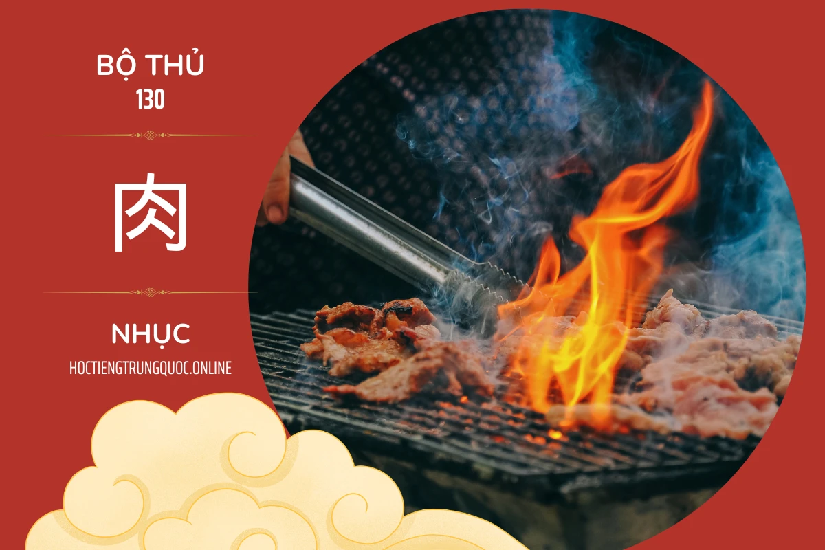 214 bộ thủ Bộ thủ 130 肉 NHỤC