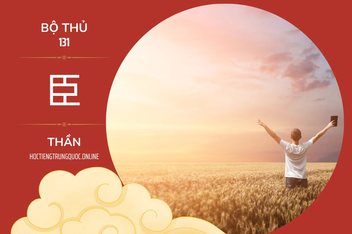 214 bộ thủ Bộ thủ 131 臣 THẦN