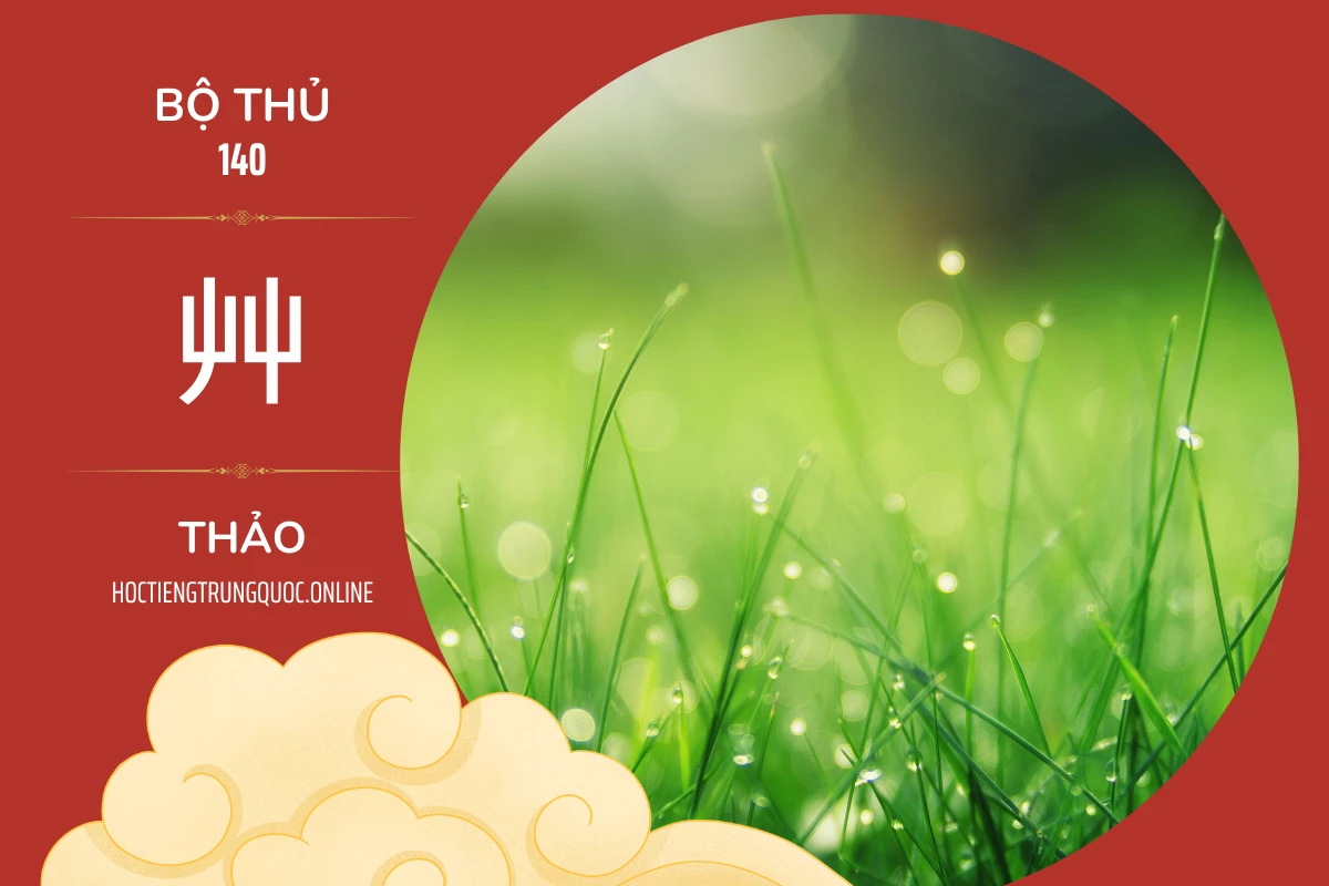 214 bộ thủ Bộ thủ 140 艸 THẢO