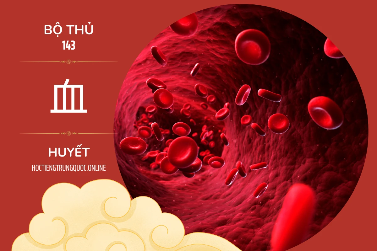 214 bộ thủ Bộ thủ 143 血 HUYẾT