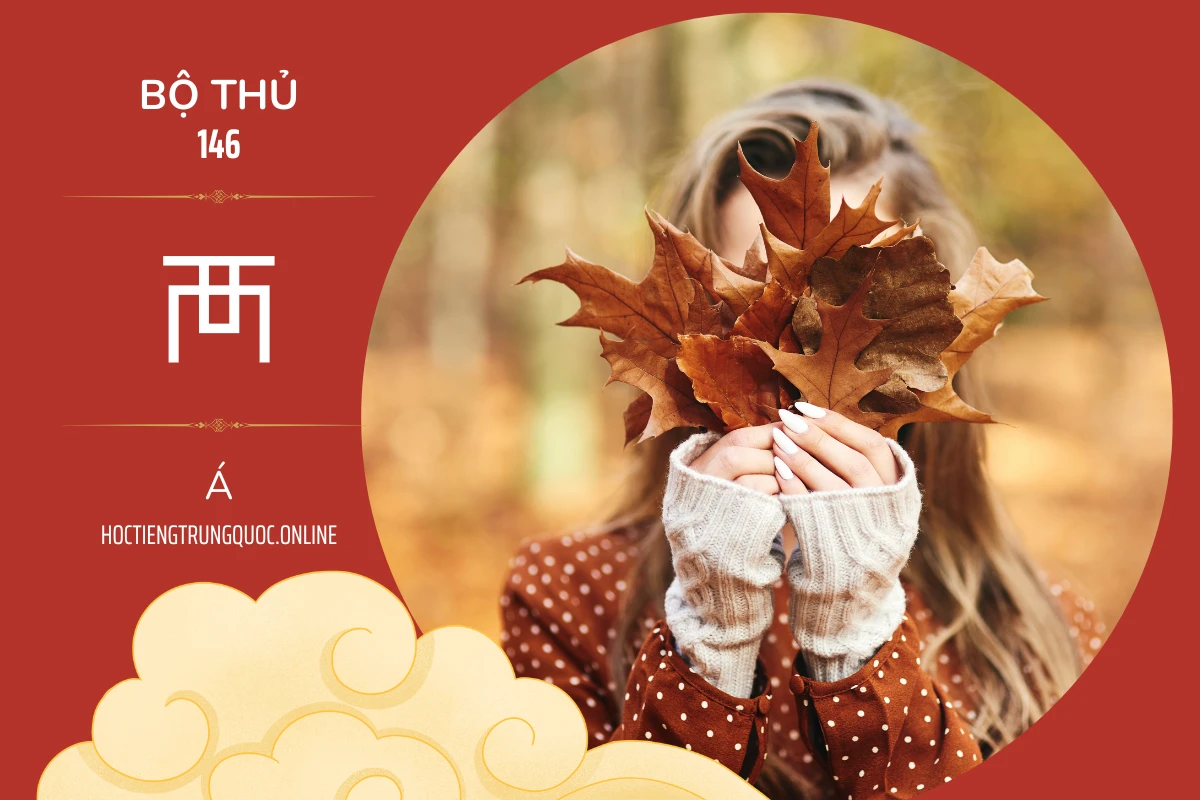 214 bộ thủ Bộ thủ 146 襾 Á
