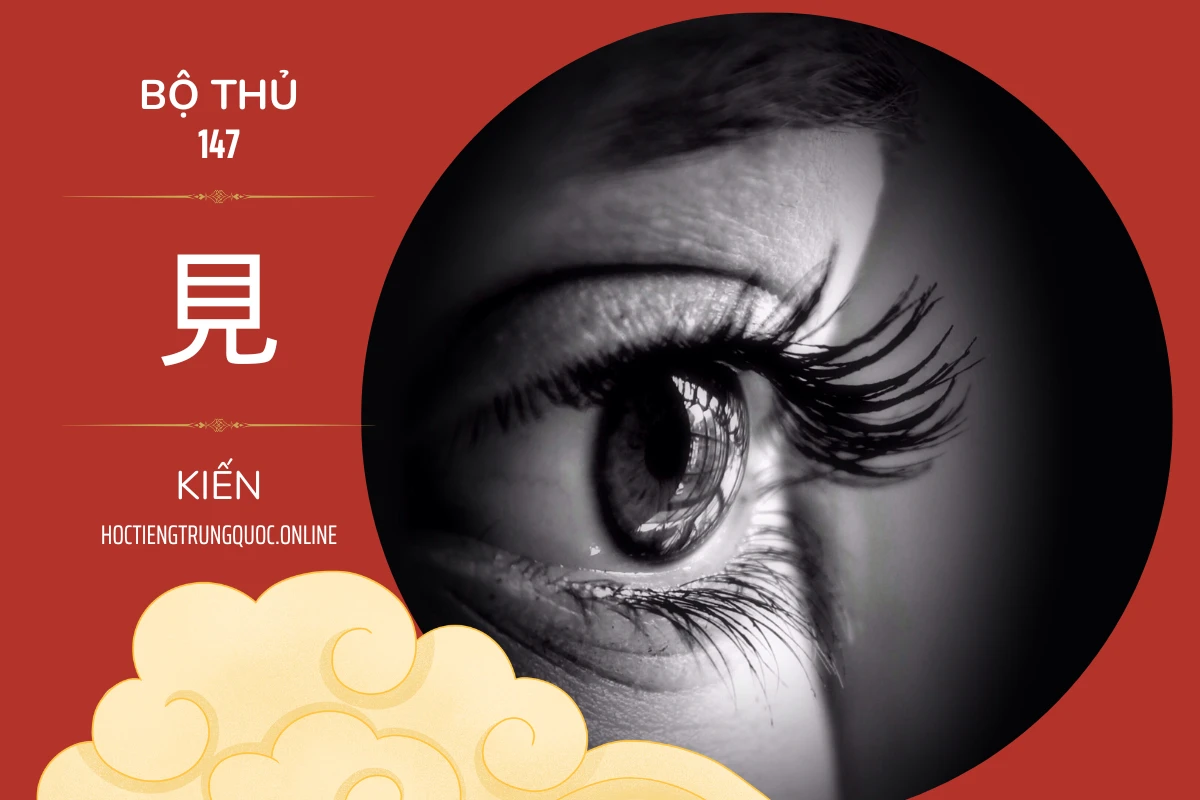 214 bộ thủ Bộ thủ 147 見 KIẾN