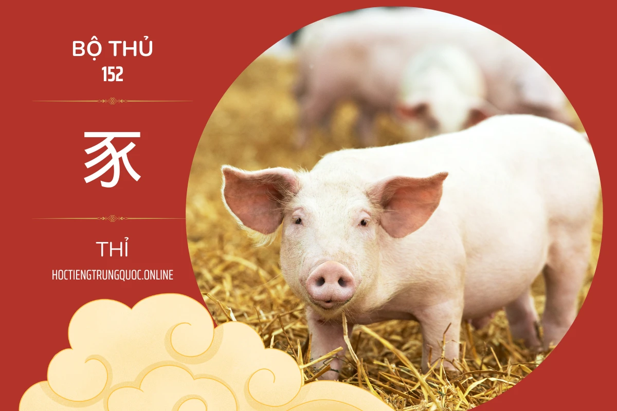 214 bộ thủ Bộ thủ 152 豕 THỈ