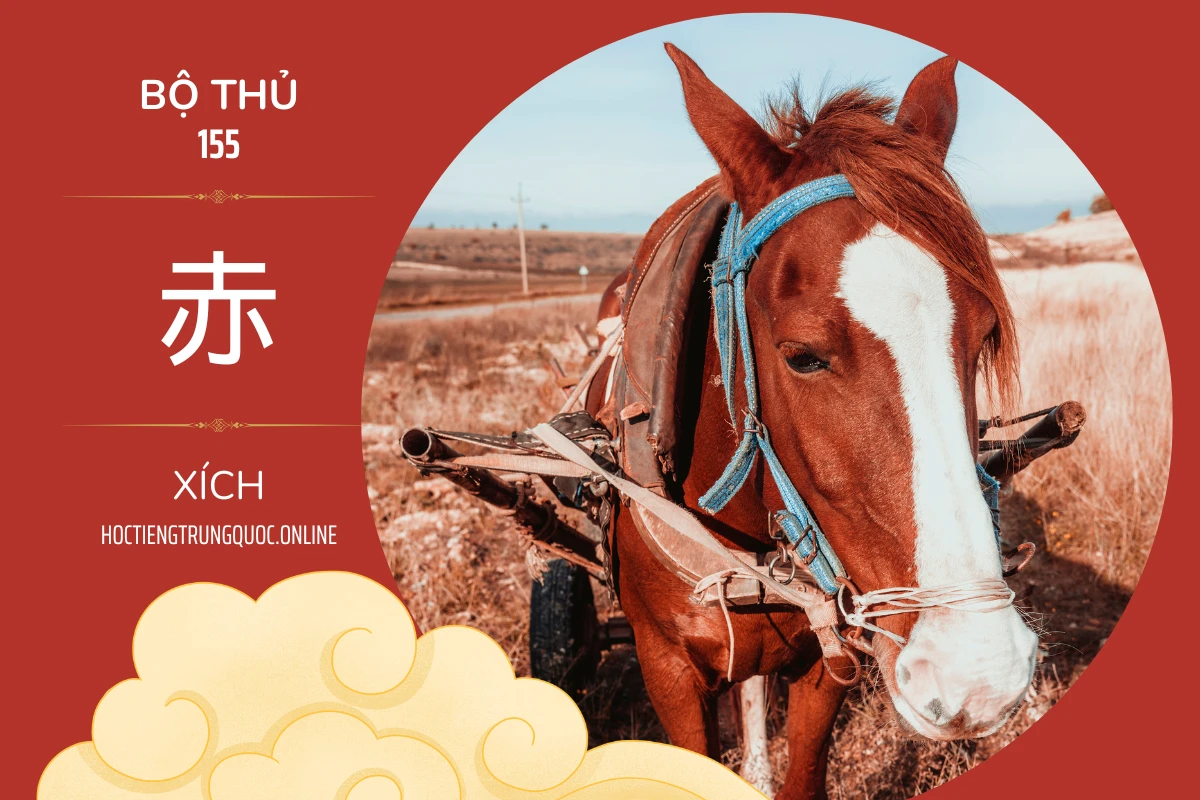 214 bộ thủ Bộ thủ 155 赤 XÍCH