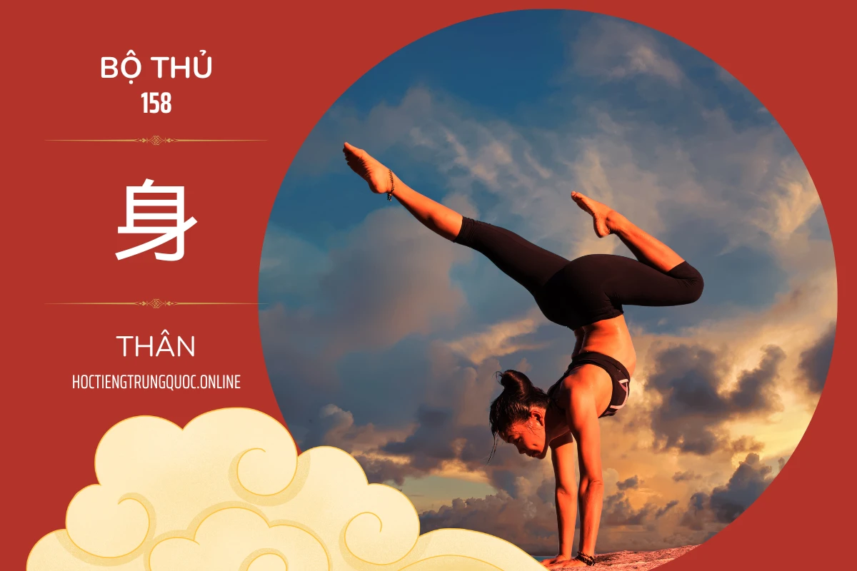 214 bộ thủ Bộ thủ 158 身 THÂN
