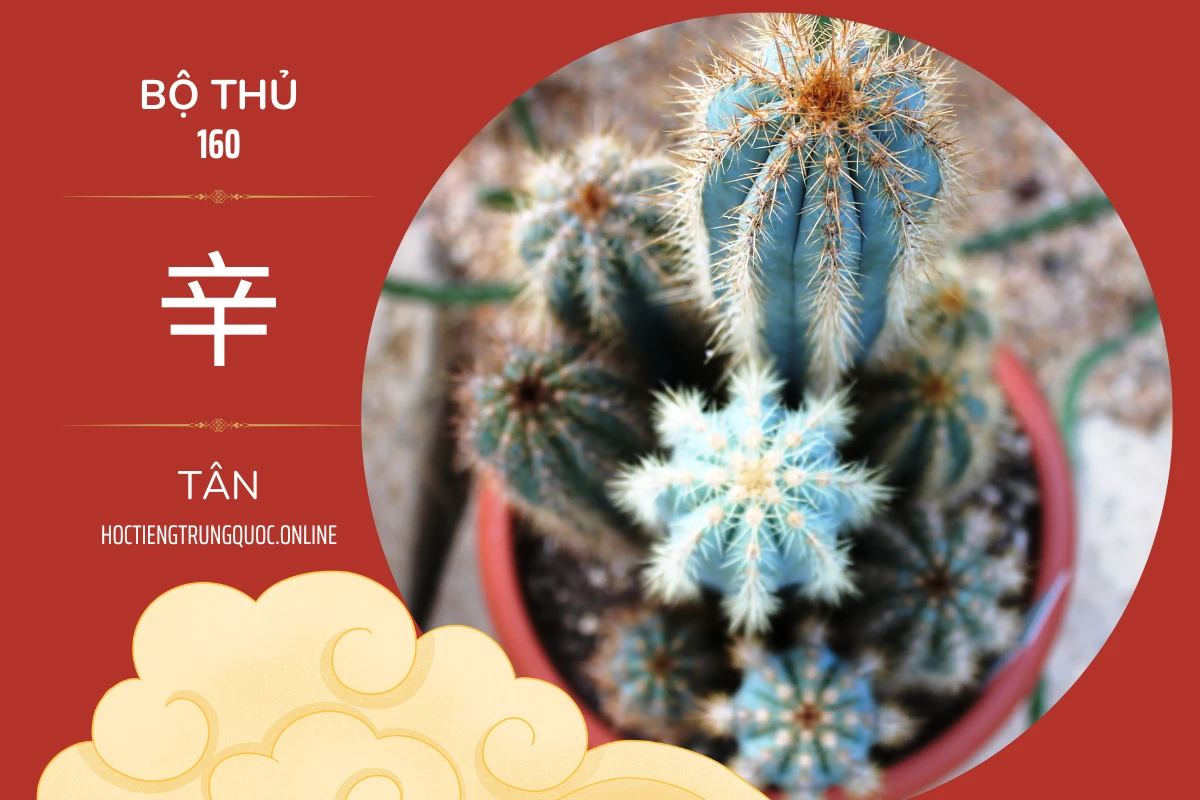 214 bộ thủ Bộ thủ 160 辛 TÂN